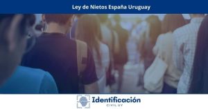Ley de Nietos España Uruguay
